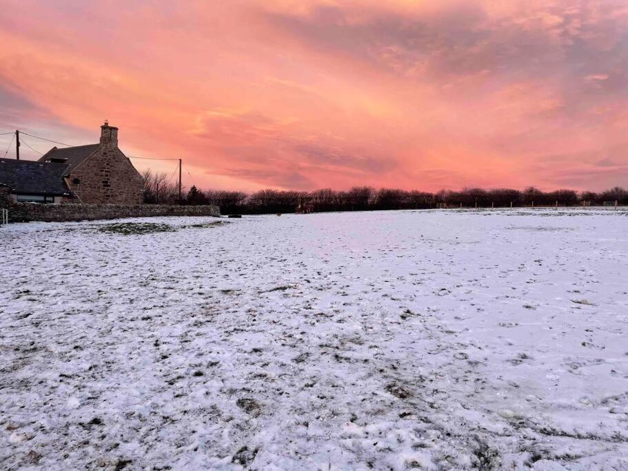Villa Prior House Farm à Berwick Upon Tweed Extérieur photo